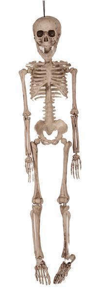 Deco Skelet 50cm