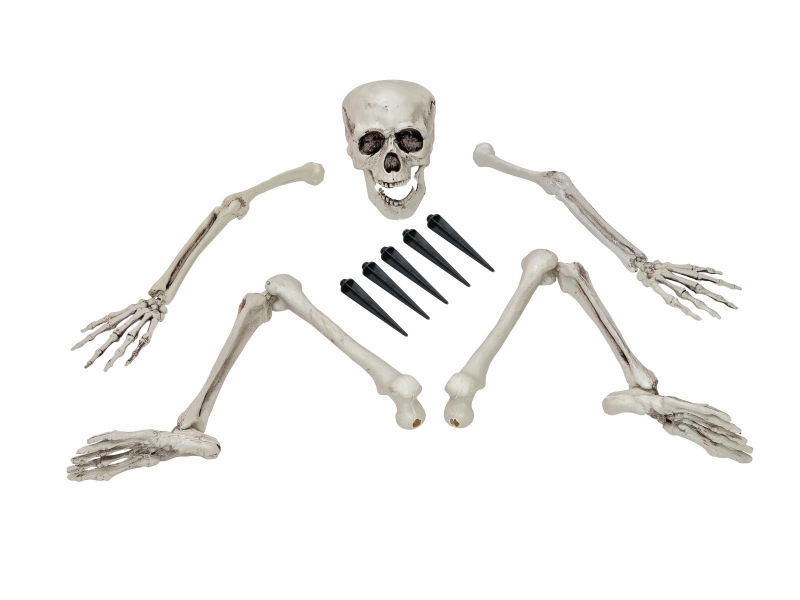 Schots Hobart Opheldering Halloween Skeleton, multipart - halloweenwebshopbarneveld.nl