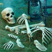 Halloween Bag of Bones 17 delig