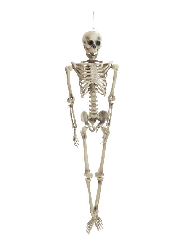 Halloween figure skeleton