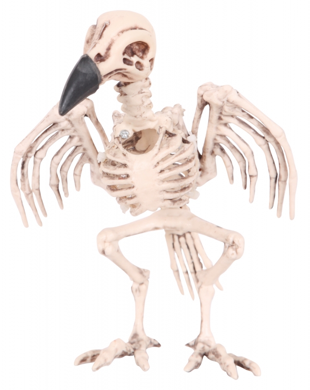 Skeleton crow 20 cm