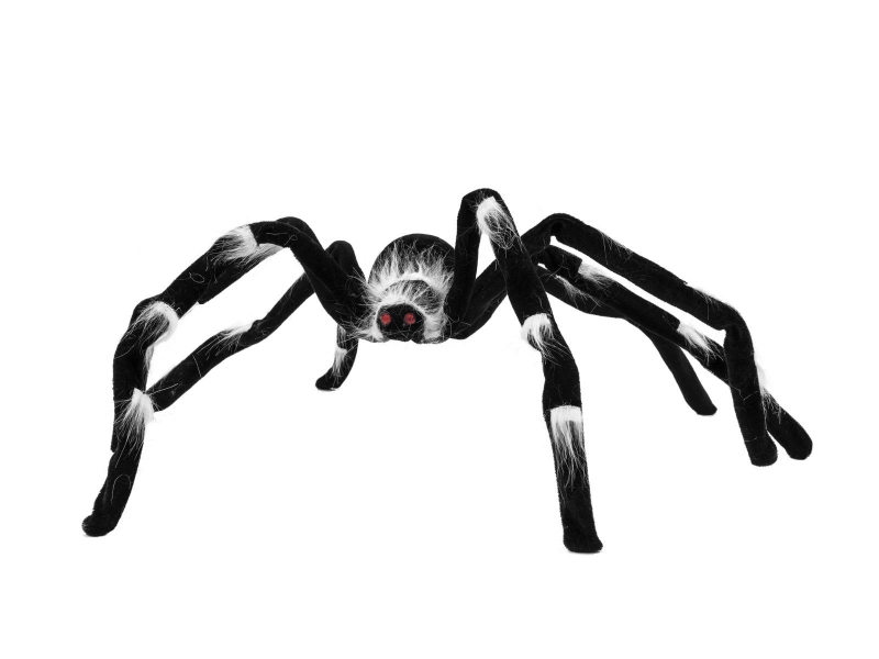 Halloween spider 70x14x5