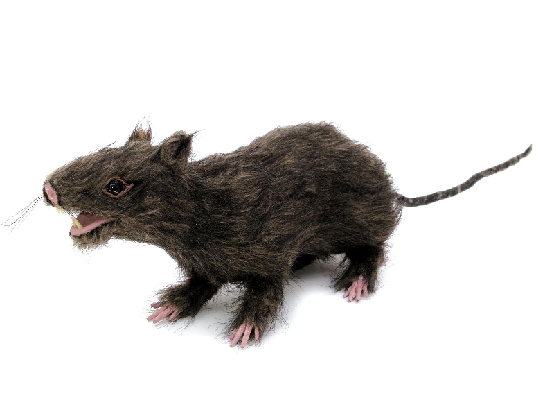 Rat, lifelike with coat 30cm