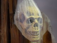 Halloween Figure Skull in Spider Web