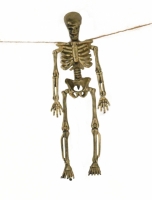 Slinger met skelet 80cm