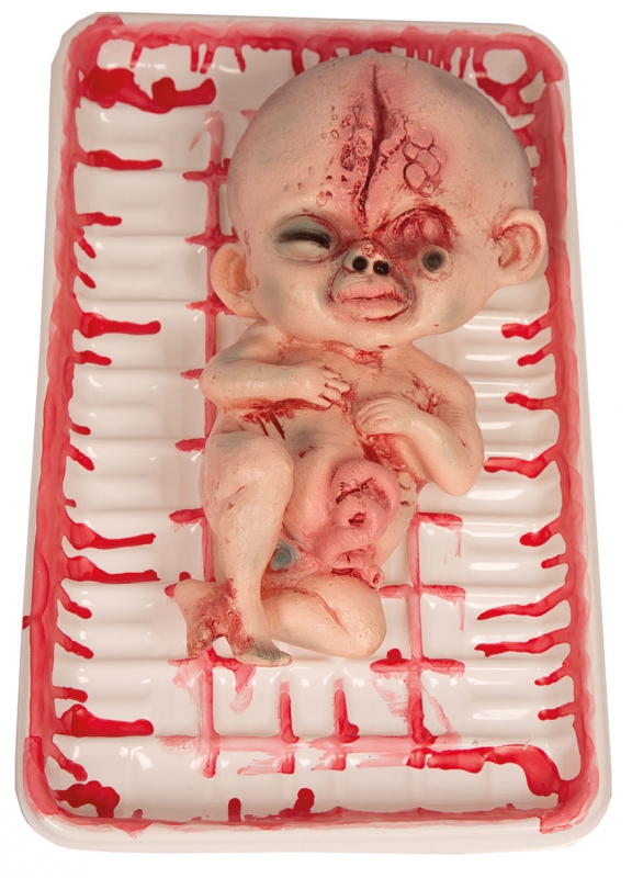 Vleesschaal Foetus