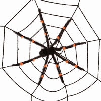 Spinneweb zwart + spin