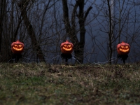 Halloween Pumpkins with Stake, Set of 3, 39cm
