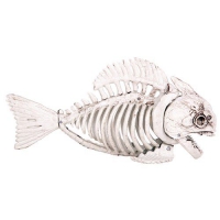 Piranha skelet
