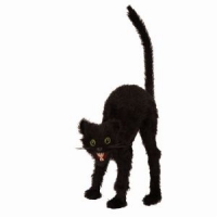 Zwarte kat staand
