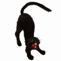 Zwarte kat zittend
