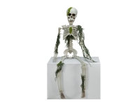 Halloween Skeleton with Moss, 40cm