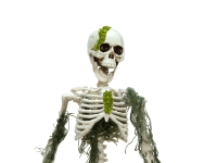 Halloween Skeleton with Moss, 40cm