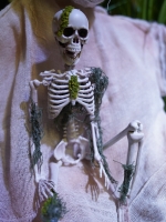 Halloween Skeleton with Moss, 40cm