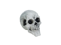 Halloween Skull, 3x