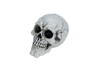 Halloween Skull, 3x