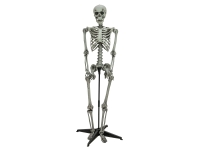 standing skeleton 160CM