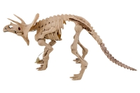 dinosaurus skelet