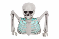 skeleton bust