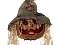 Halloween Cursed Pumpkin Head, 70cm