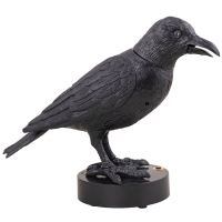 Bezeten Kraai