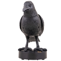 Bezeten Kraai