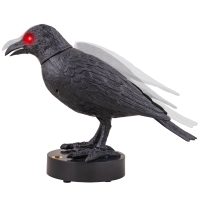 Bezeten Kraai