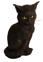 Shadow Whiskers Kat