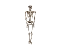 Rattling Skeleton Animatronic 160 cm