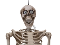 Rattling Skeleton Animatronic 160 cm