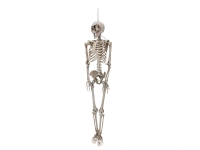 Rattling Skeleton Animatronic 160 cm