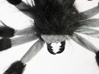 Skull Widow Rappelling Spider Animatronic 60 cm