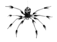Skull Widow Rappelling Spider Animatronic 60 cm